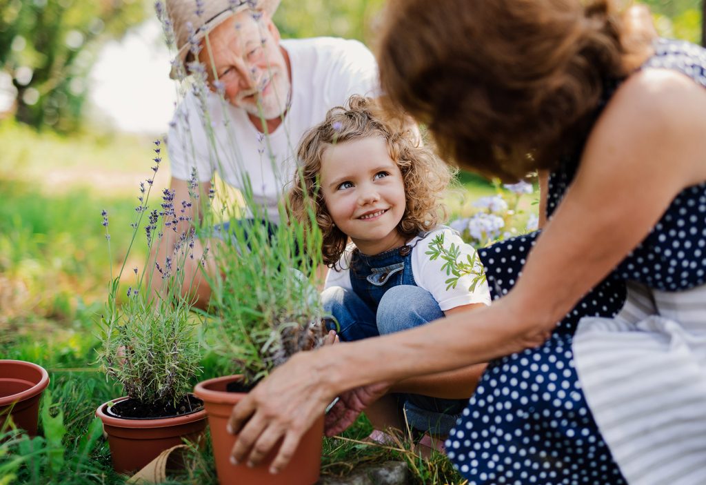 Arkansas Grandparents’ Custody/Visitation Rights